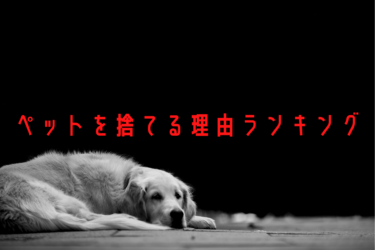 犬 猫 ペットを捨てる理由ランキング