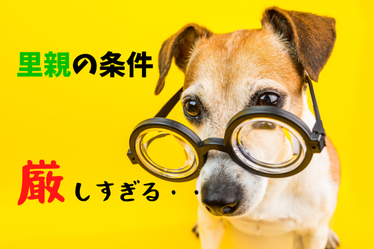 保護犬の里親になる条件が厳しい時はどうすればいい