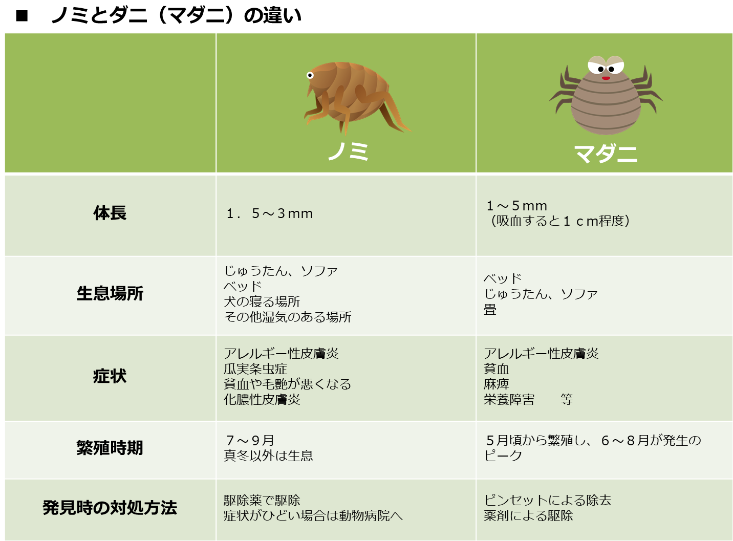 犬にノミ浴をする方法