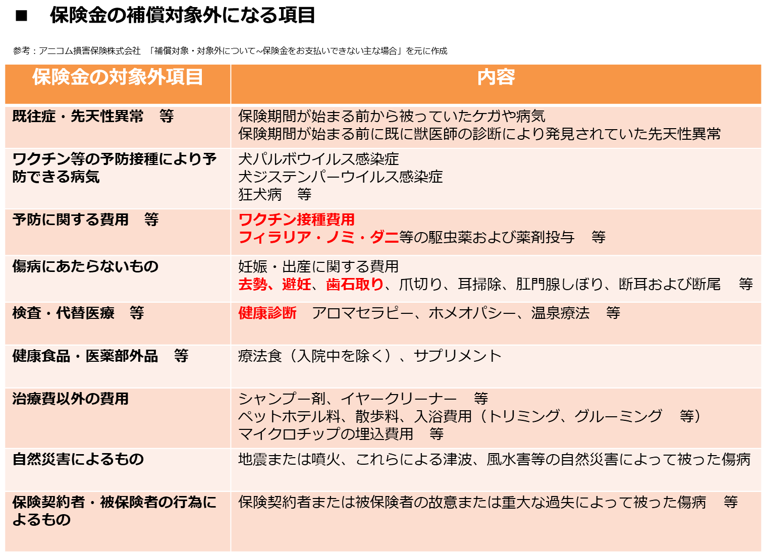 高齢 シニア 犬とペット保険 加入を検討する時のポイント