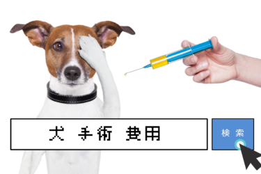 犬の外科手術ランキングと手術費用の相場を大公開します