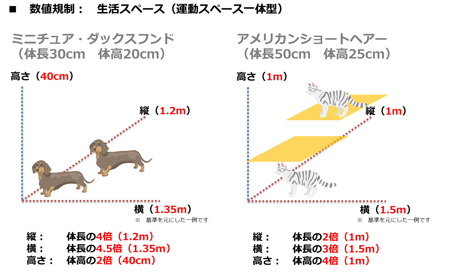 動物愛護法の改正 3つのポイントを超分かりやすく図解で説明します 2020年版