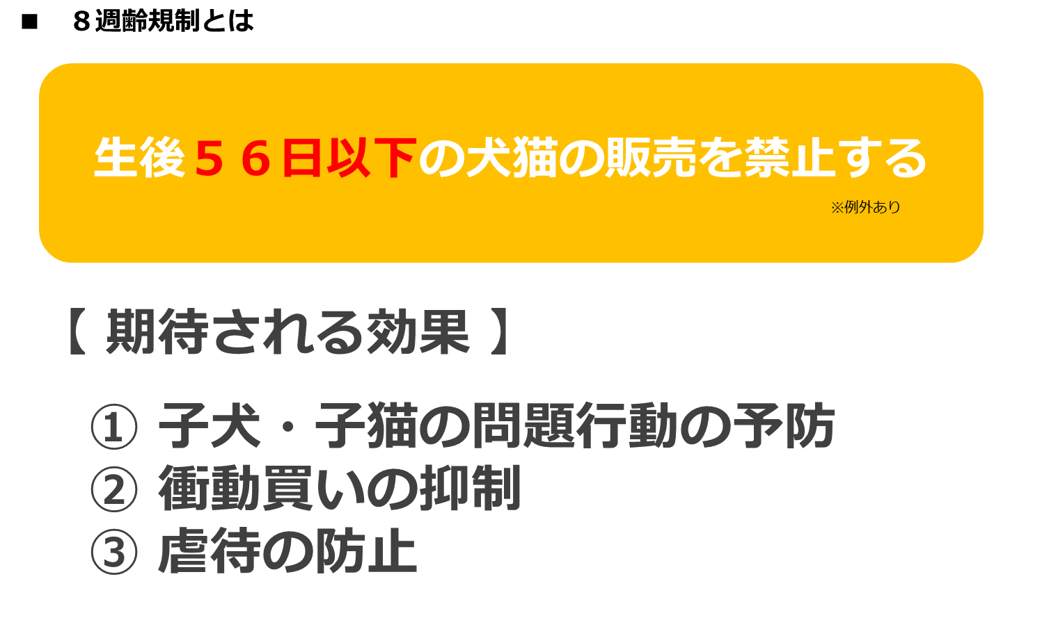 ８週齢規制 動物愛護法 とは 目的や問題点をズバッと解説します