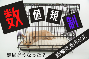 数値規制動物愛護法