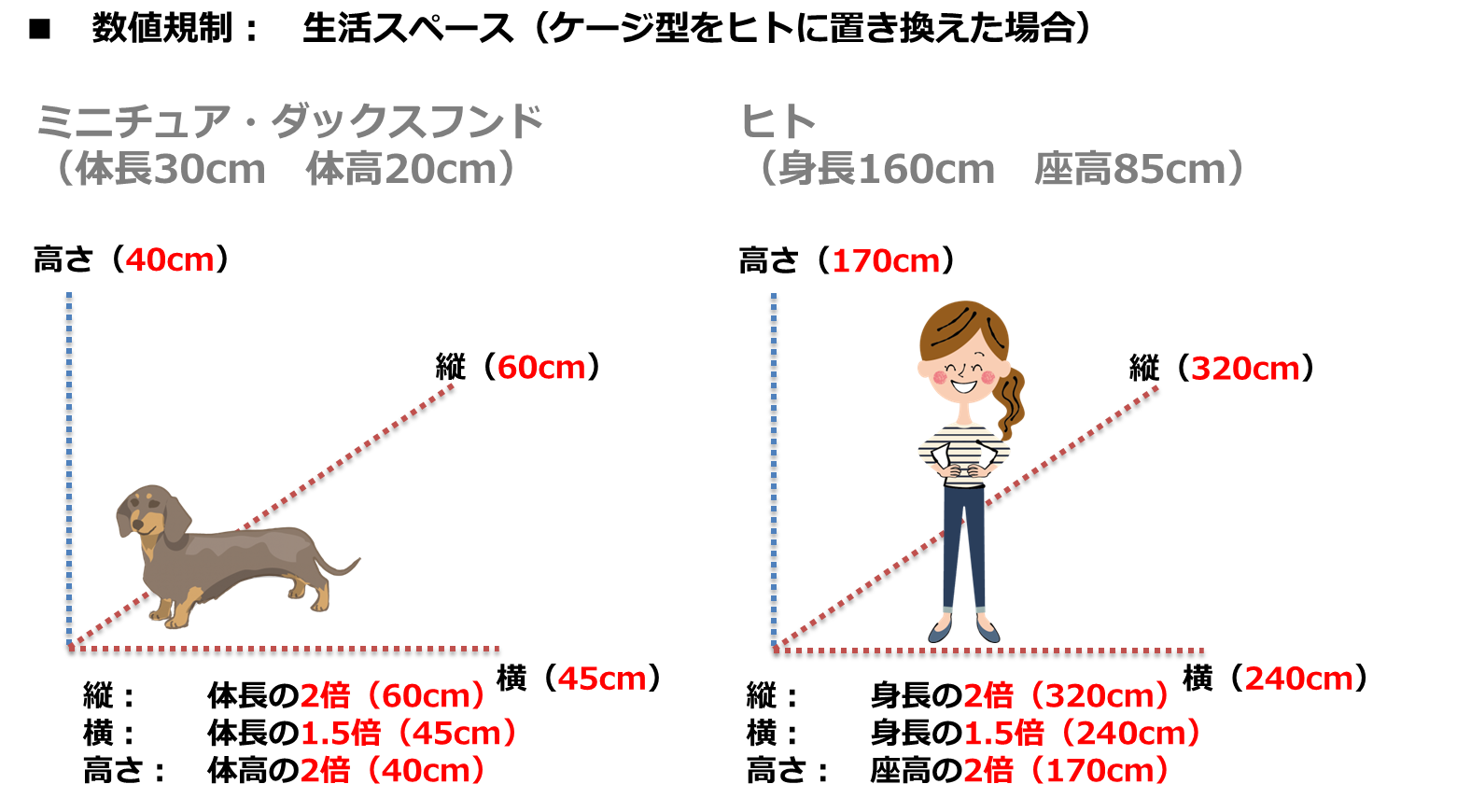 数値規制（ニンゲン、飼育生活環境