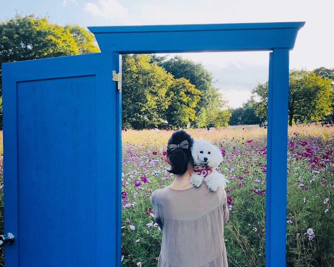 国営昭和記念公園 東京都立川市 ペット同伴可能な巨大施設