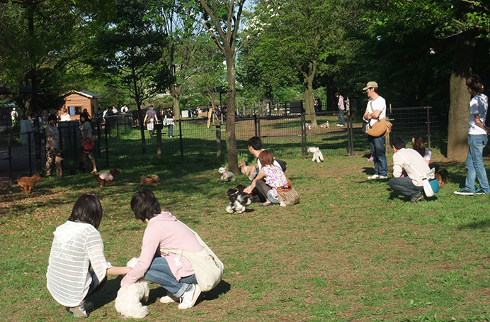 国営昭和記念公園 東京都立川市 ペット同伴可能な巨大施設