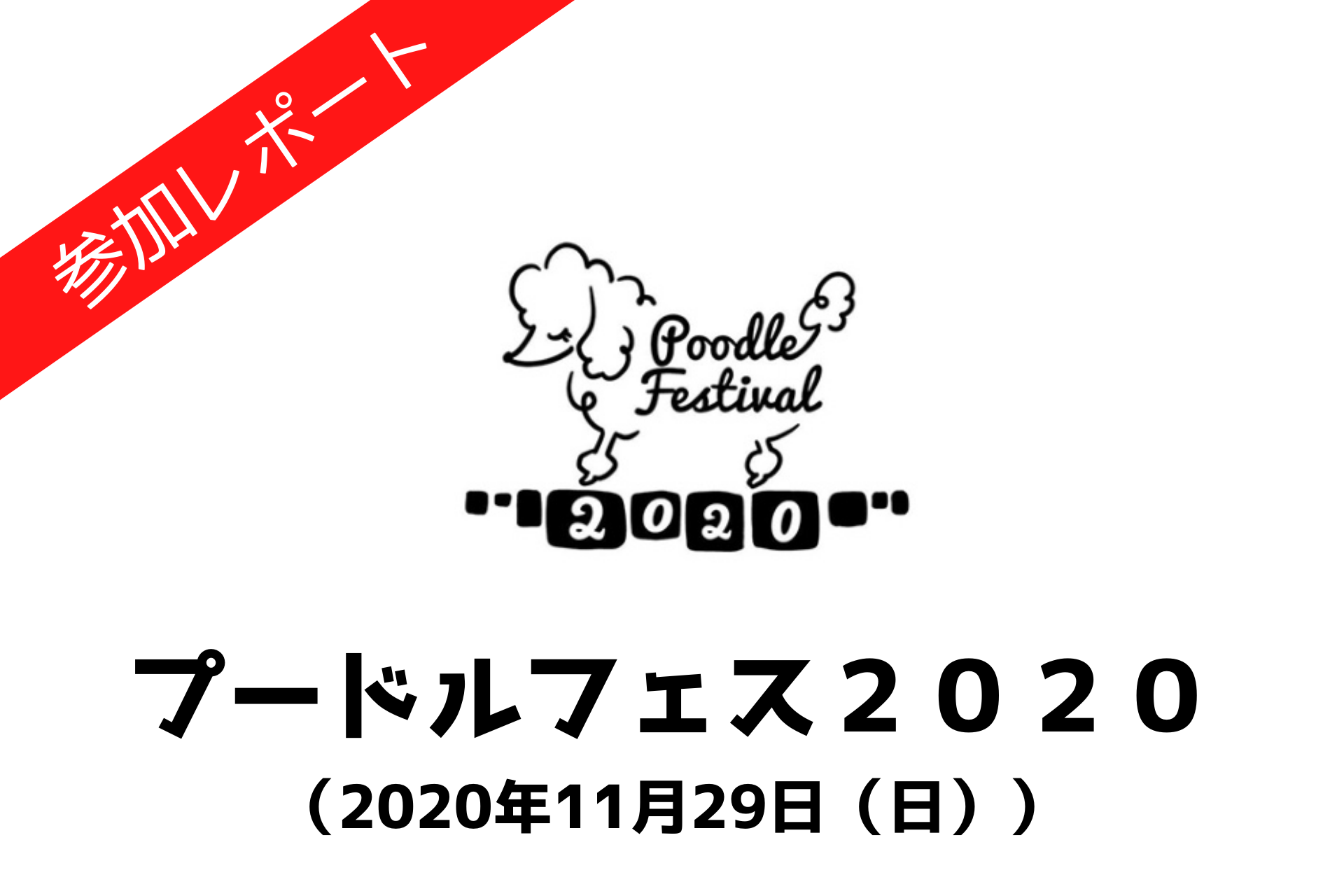 プードルフェス2020、プードルフェスティバル2020、東京都江東区夢の島、イーノの森、2020年11月29日（日）