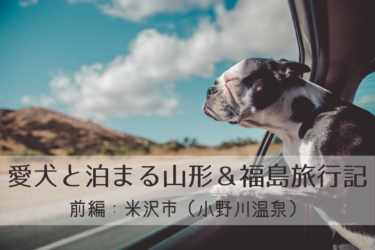 犬と泊まれる宿 エガちゃんねる紹介 愛犬と旅行する山形 福島 前編 小野川温泉 名湯の宿 吾妻壮