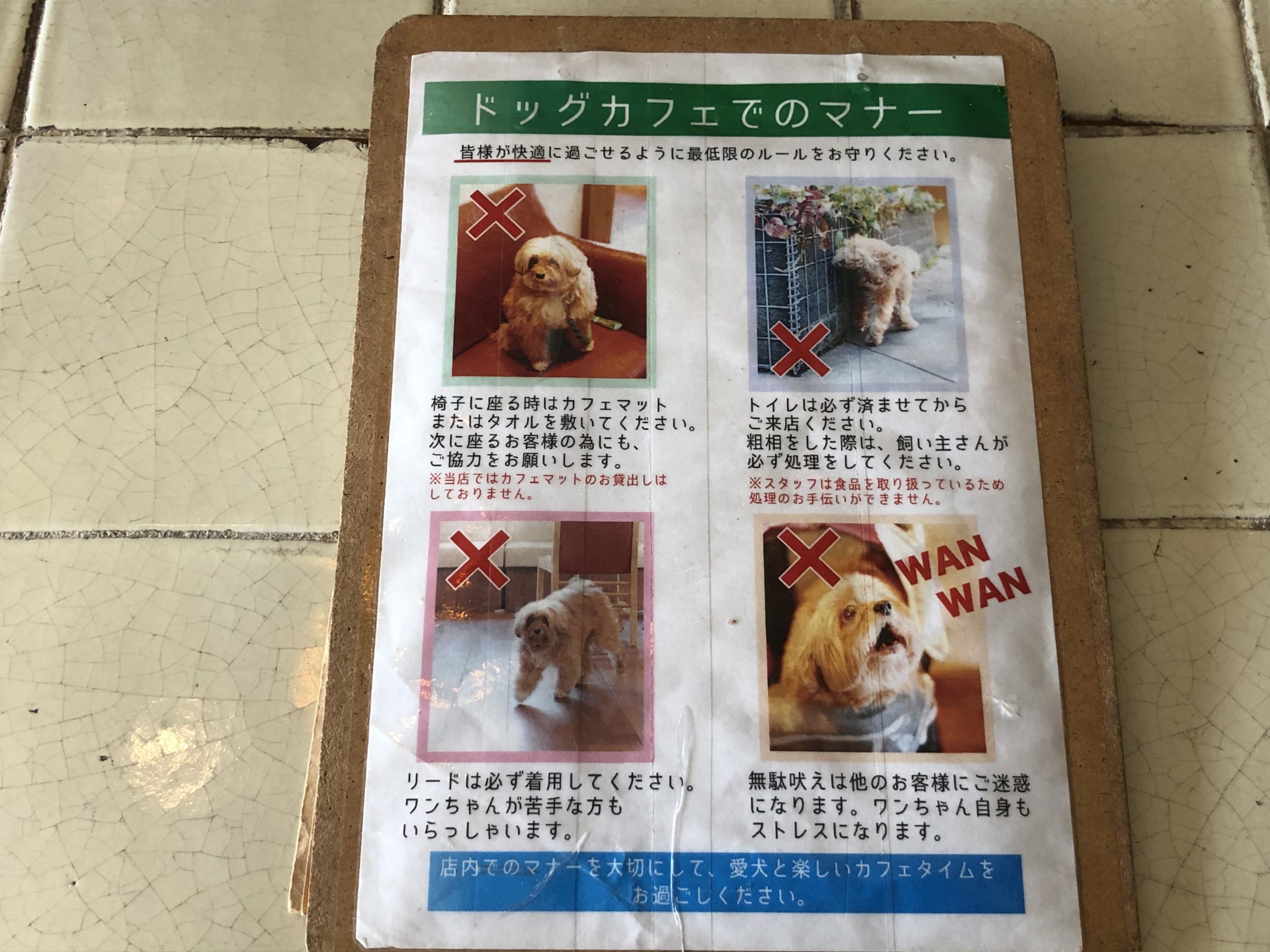 ペット同伴可能 Dog Dept Cafe ドッグデプトカフェ 浅草 隅田川テラス