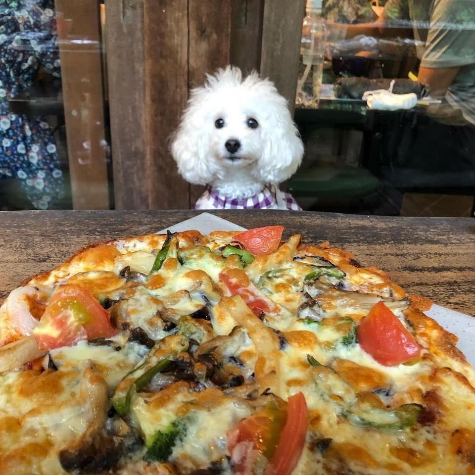 ペット同伴可能 森の中のお肉レストラン アースガーデン 奥多摩