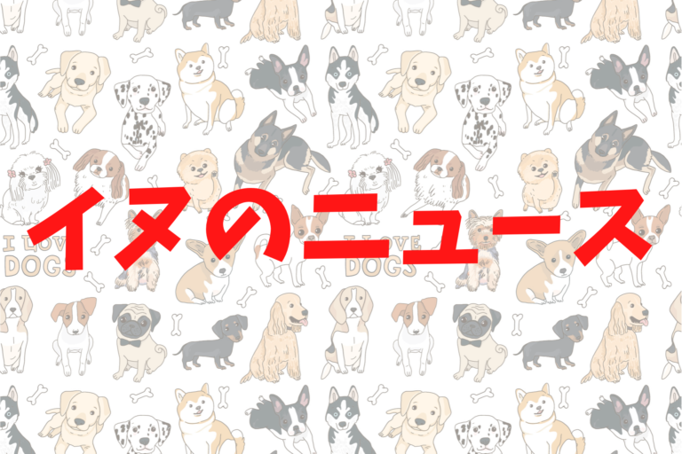 コロナ禍でペットの飼育放棄や虐待が急増しています ニュースまとめ