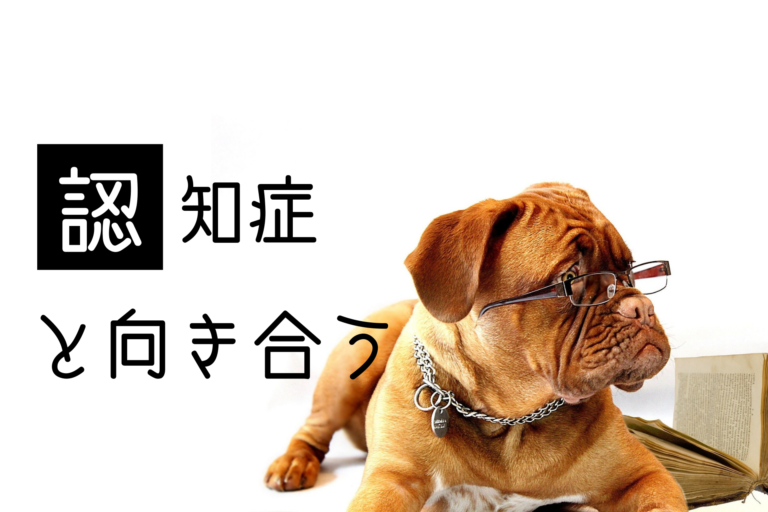 犬の認知症 症状や予防方法 介護に役立つ情報