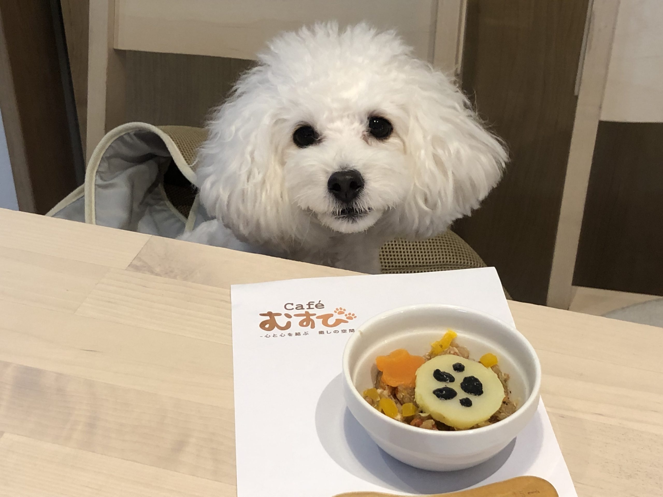 犬に優しいドッグカフェ カフェ むすび Cafe むすび 亀戸 亀戸水神