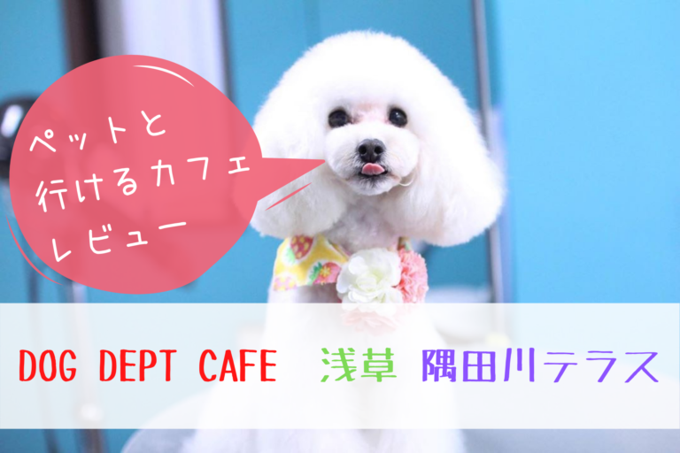 DOG DEPT CAFE（ドッグデプトカフェ）ペット同伴可能、犬連れ