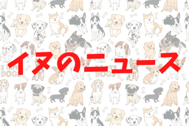 【 犬のニュース 】犬を飼う人ほど｢不幸を遠ざける｣科学的根拠