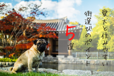 愛犬と暮らしたい街ランキング