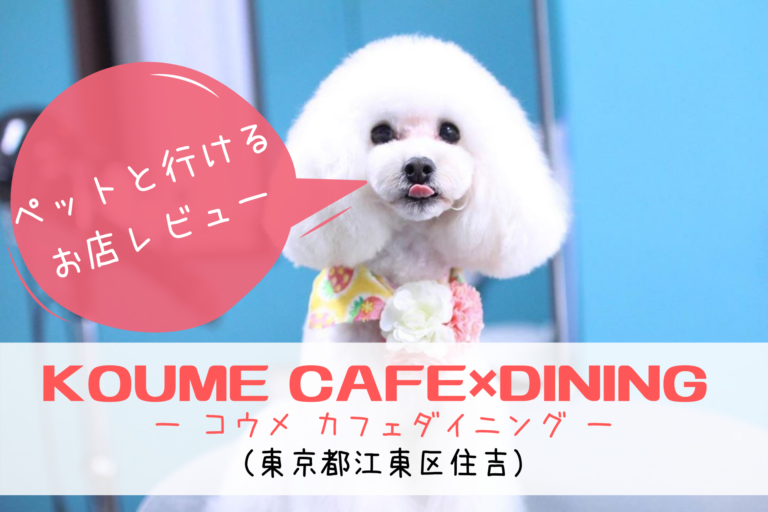 ペット同伴可能 Koume Cafe Dining コウメ カフェダイニング 江東区住吉