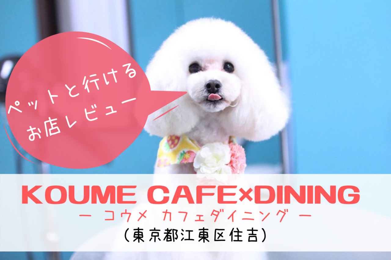 KOUME CAFE×DINING （コウメ カフェダイニング）、ドッグカフェ、ペットと行ける、ペット同伴可能、東京都江東区、住吉、猿江、錦糸町