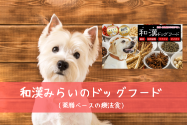 犬の慢性腎不全 腎臓病 食べていい食材 いけない食材