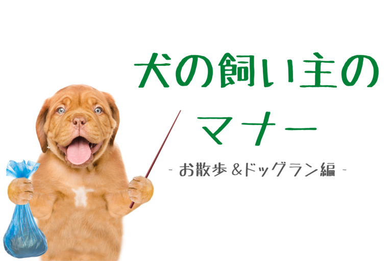 犬の飼い主のマナー 気を付けたいポイント お散歩 ドッグラン編
