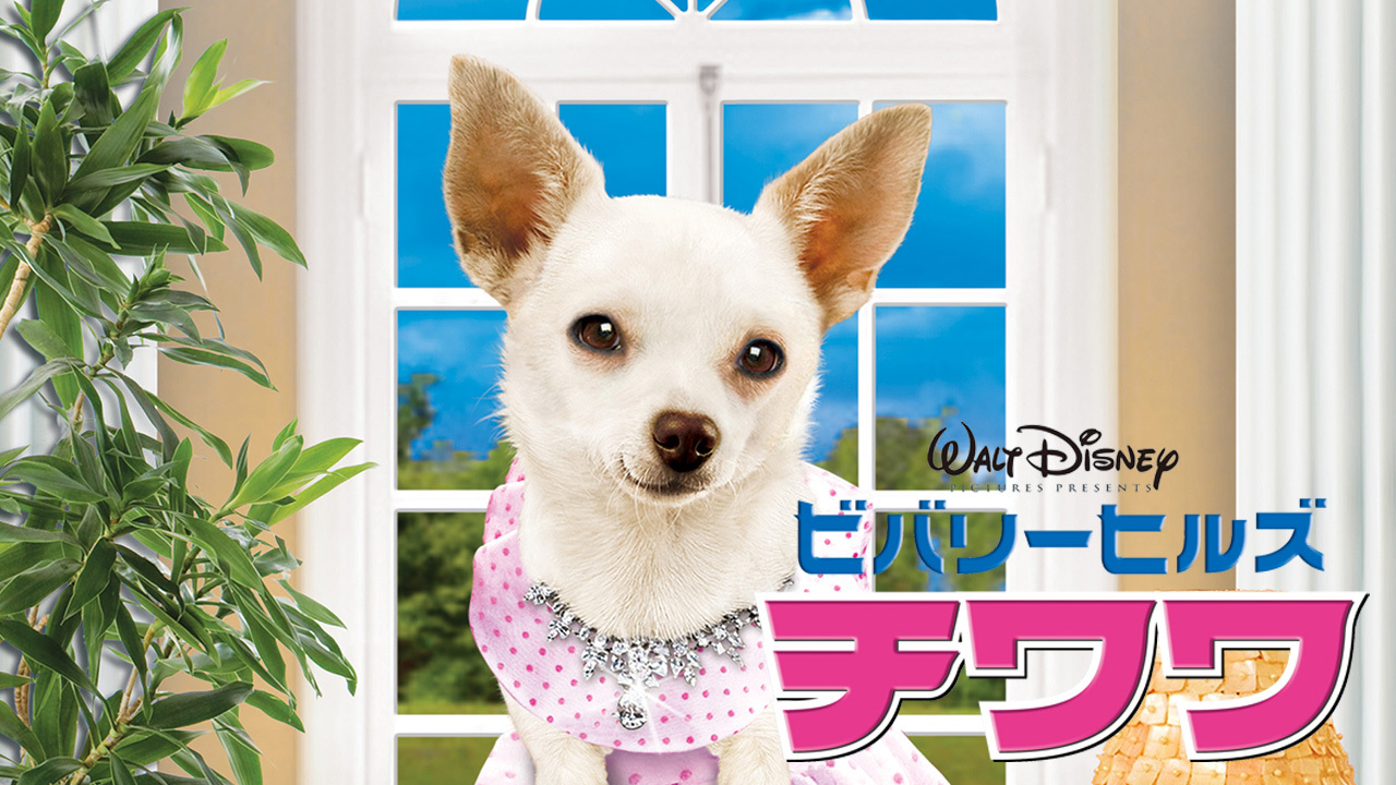 感動 泣ける オススメ犬の映画１６選 感動作からコメディーまで厳選