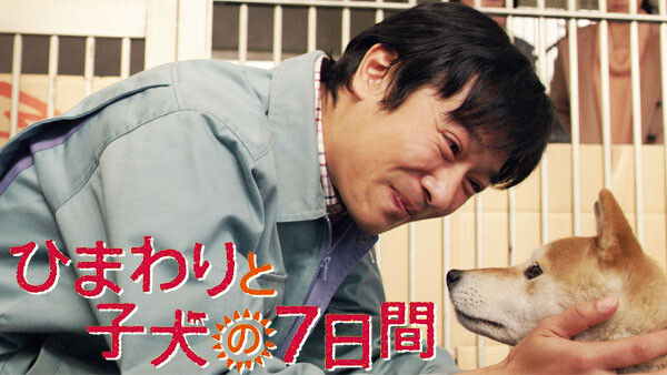感動 泣ける オススメ犬の映画１６選 感動作からコメディーまで厳選