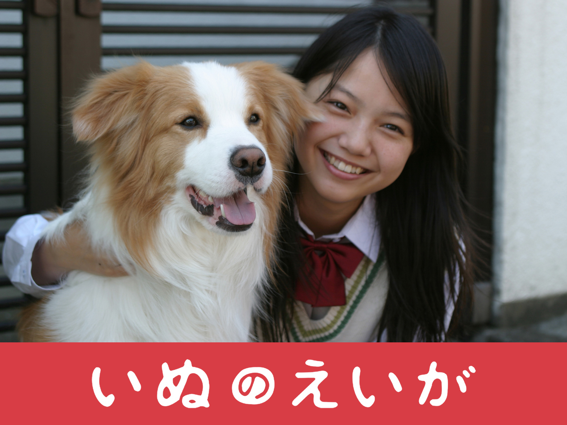 感動 泣ける オススメ犬の映画１６選 感動作からコメディーまで厳選