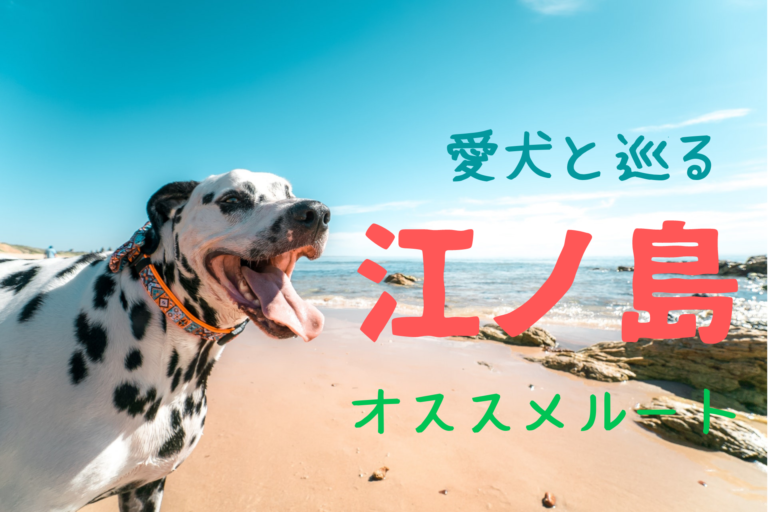 愛犬と巡る江ノ島オススメ観光ルート ペット同伴可能なお店がたくさん