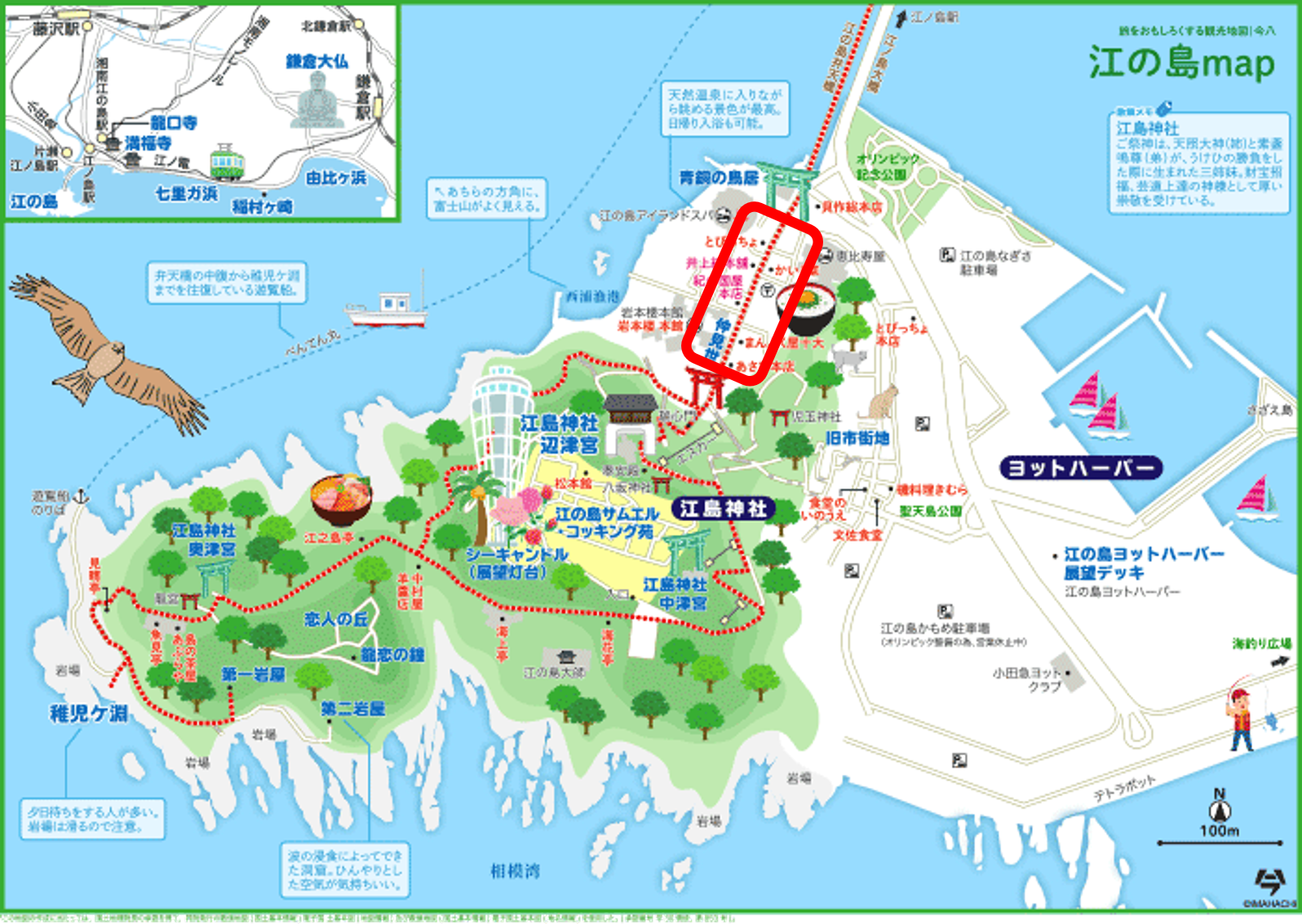 愛犬と巡る江ノ島オススメ観光ルート ペット同伴可能なお店がたくさん