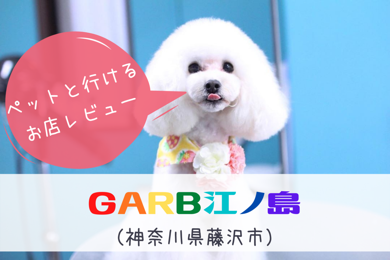 GARB江ノ島（ガーブ）犬、ペット同伴可能、ペット可、レストラン・カフェ、神奈川県藤沢市、湘南・江ノ島、ペットと行けるお店
