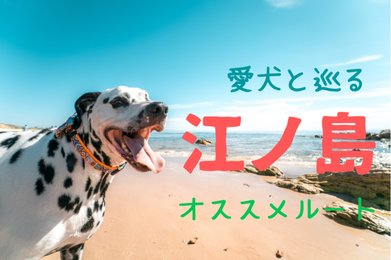 愛犬、江ノ島、江島神社、神奈川県藤沢市、湘南、ペット入店可能、ペット同伴可能