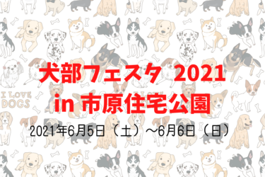 千葉県市原市更級、犬、ペット、イベント犬部フェスタ2021in市原住宅公園