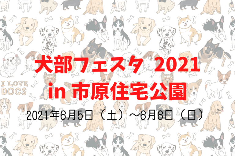 千葉県市原市更級、犬、ペット、イベント犬部フェスタ2021in市原住宅公園