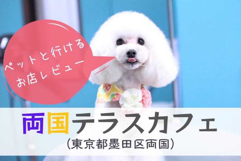 両国 蔵前のペット可カフェ レストラン 両国テラスカフェ 東京都墨田区両国 両国 蔵前のペット可カフェ レストラン 両国テラスカフェ 東京都墨田区両国