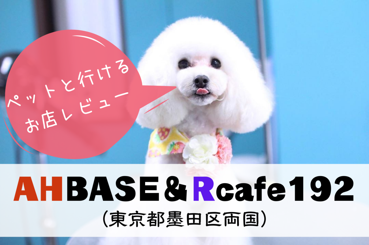 AHBASE、Rcafe192、アールカフェ192、エーエイチベース、ペット可、ドッグカフェ、レストラン、東京都墨田区横網、両国、錦糸町、蔵前