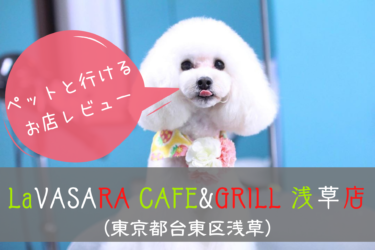 LaVASARA CAFE&GRILL 浅草店、東京都台東区浅草、ペットと行ける、犬と行ける、犬可能、ペット可能、ドッグカフェ、レストラン、ワンコOK