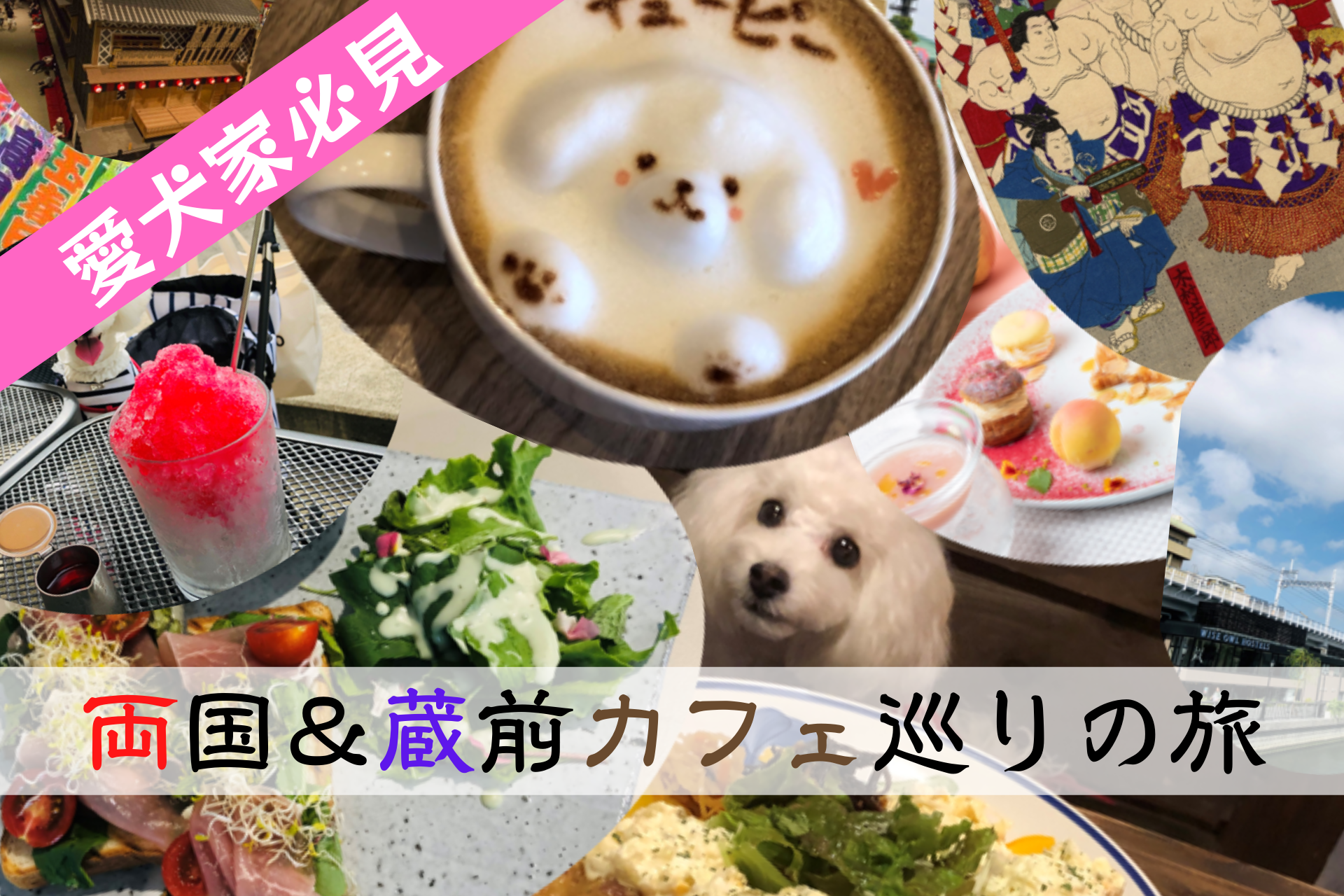 両国、蔵前、台東区、墨田区、ペット可、ドッグカフェ、レストラン、ペット宿泊可能なホテル、東京都、ワンコOK、犬連れ