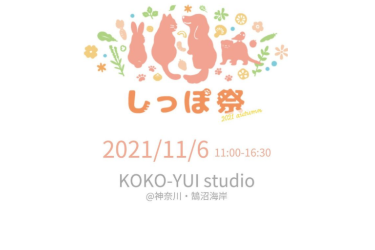 しっぽ祭 21 Autumn 21年11月6日 土 Koko Yui Studio 旧 鵠沼海岸marks 神奈川県藤沢市