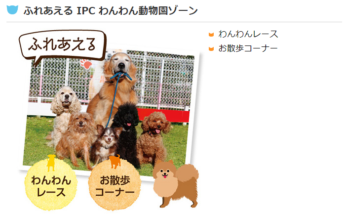 わんにゃんドーム 22 In 福岡 22年2月26日 27日 土 日 福岡国際センター 福岡県福岡市 わんにゃんドーム 22 In 福岡 22年2月26日 27日 土 日 福岡国際センター 福岡県福岡市