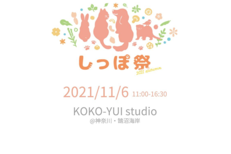 しっぽ祭2021Autumn、KOKO-YUI studio（旧：鵠沼海岸Marks）、ペットと行ける、犬と行ける2021、イベント神奈川県藤沢市