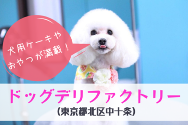 【 犬用ケーキのオススメ店 】ドッグデリファクトリーの絶品犬用ケーキで愛犬の誕生日を祝う（東京都北区中十条）