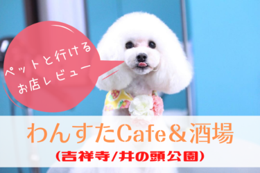 ペット同伴可能 Koume Cafe Dining コウメ カフェダイニング 江東区住吉