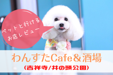 【 吉祥寺・井の頭公園のドッグカフェ 】わんすたCafe＆酒場はドッグフレンドリーの極み