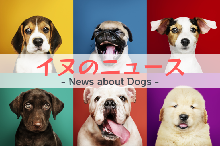 犬のニュース、犬猫のニュース、ペットの情報