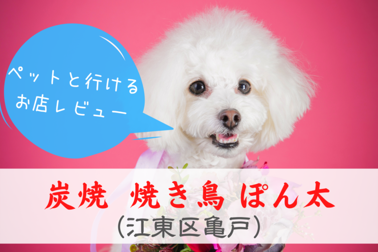 ペット入店可能 焼き鳥 ぽん太は愛犬家にとって最強の居酒屋かもしれない説 江東区亀戸