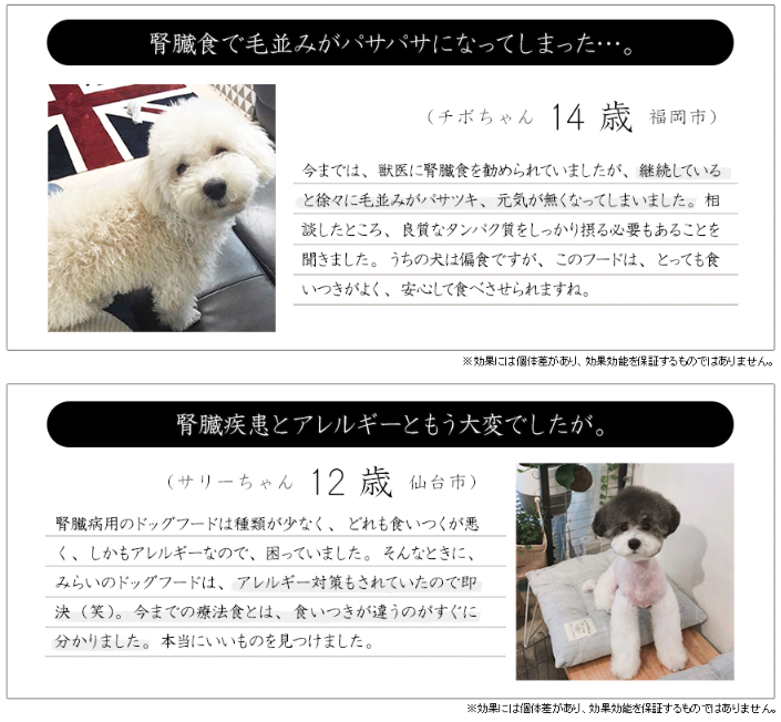 失敗しないドッグフード選び 口コミ 慢性腎不全 腎臓病 で食事を食べない愛犬へ 和漢 みらいのドッグフード オススメ