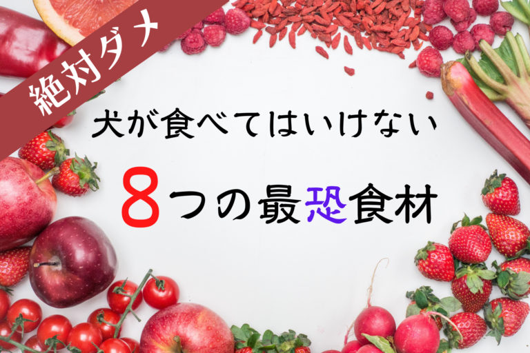 即死することも 愛犬に絶対に食べさせてはいけない食べ物