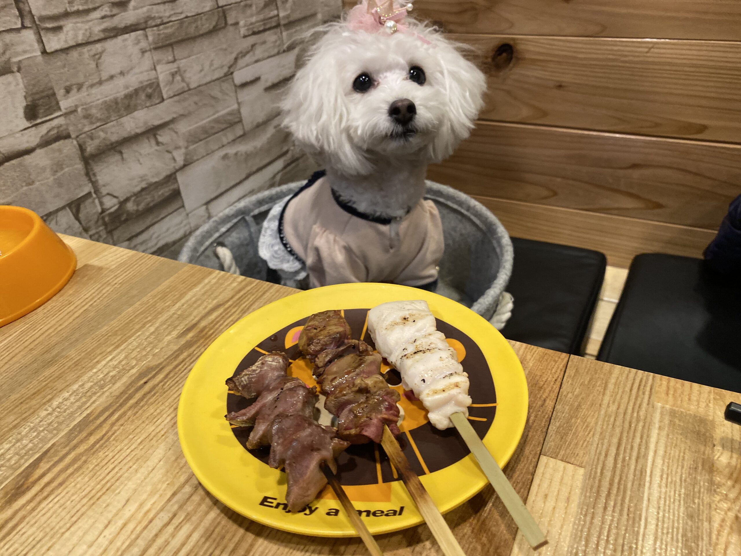 ペット入店可能 焼き鳥 ぽん太は愛犬家にとって最強の居酒屋かもしれない説 江東区亀戸