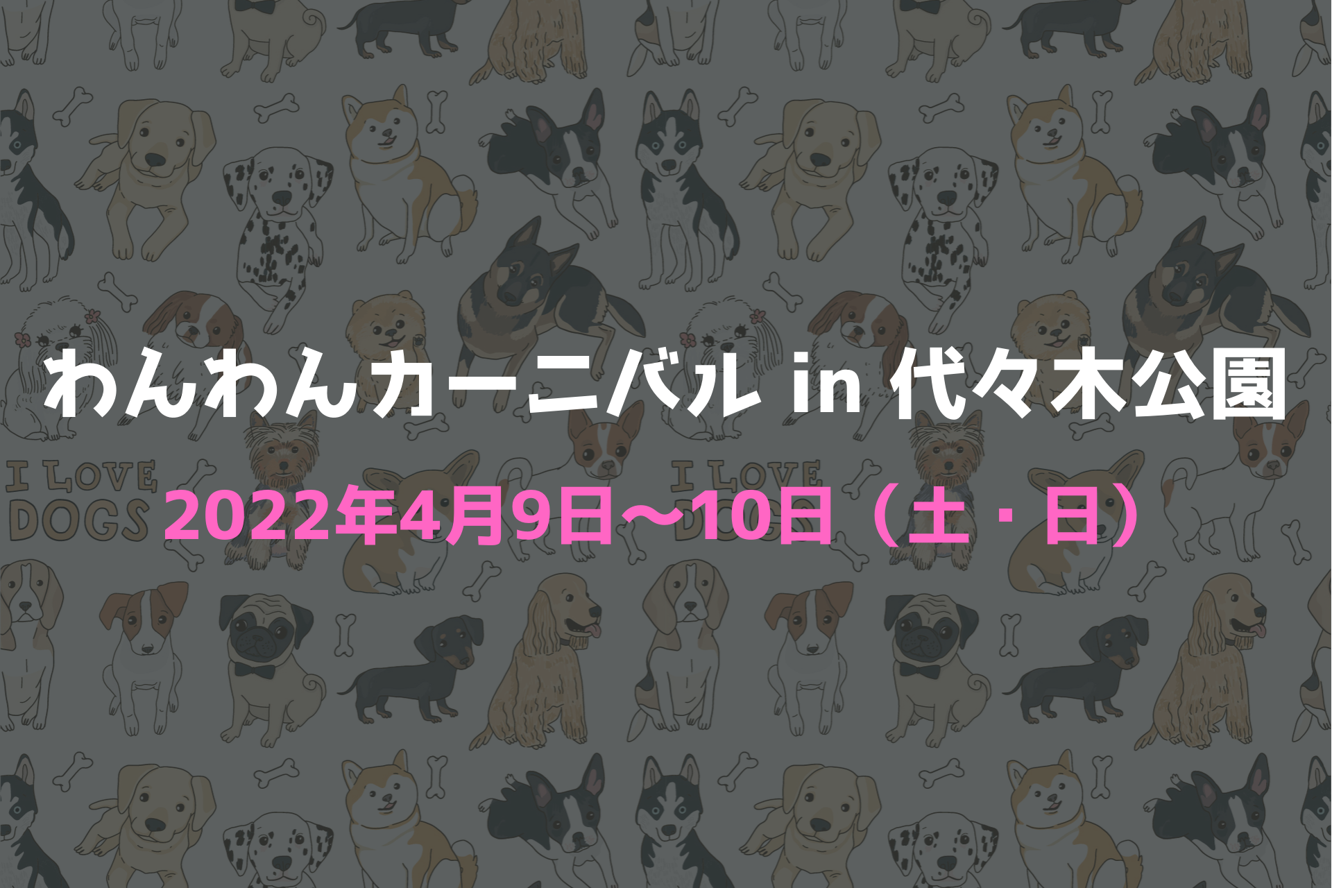 わんわんカーニバル2022 代々木公園、ペットイベント2022、犬と行けるイベント、ペットと参加、犬OK、